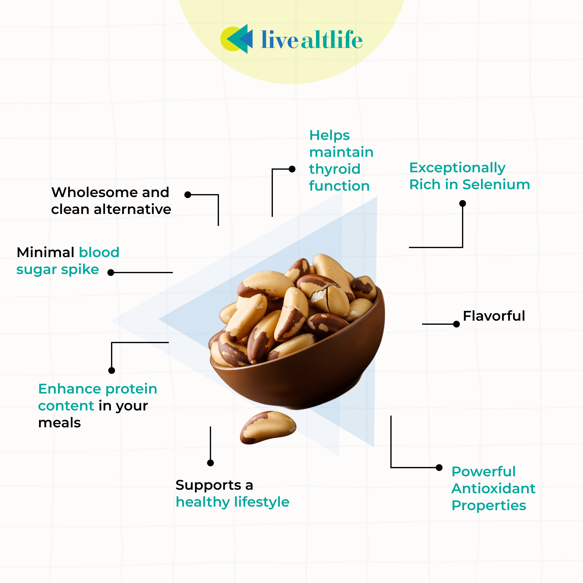 Salted Brazil Nuts (200g, Protein Rich)